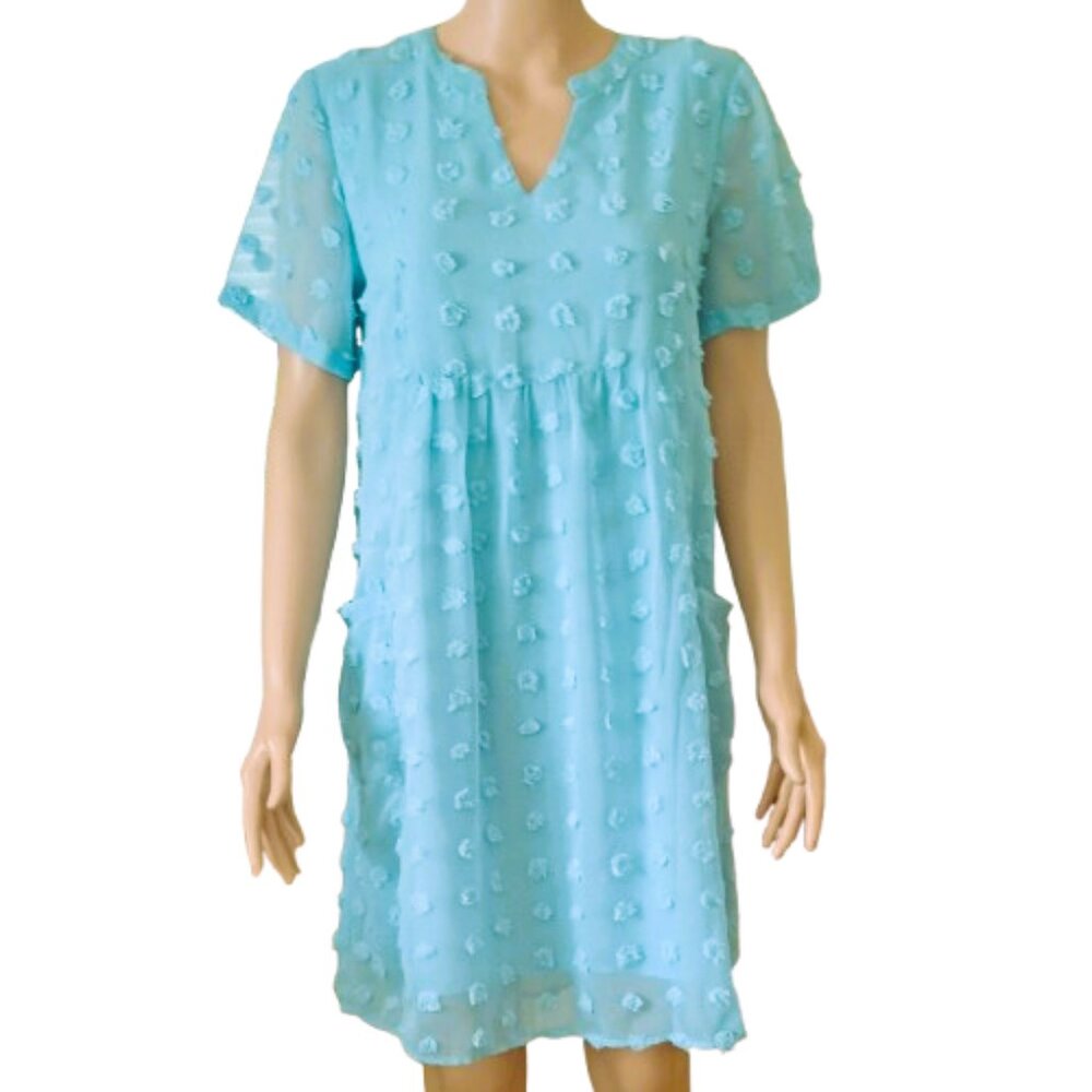 Women's Sheer Swiss Dot Dress M Lt Blue V Neck Spring Short Sleeve Front Pockets